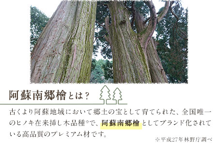 熊本地震被災復旧祈念レール(南阿蘇鉄道1日乗車証2枚付き)《90日以内に出荷予定(土日祝除く)》南阿蘇鉄道株式会社