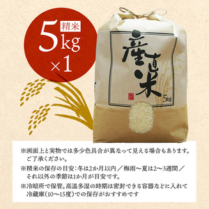 【令和7年度産】 コシヒカリ 5kg 精米 白米 こしひかり お米
