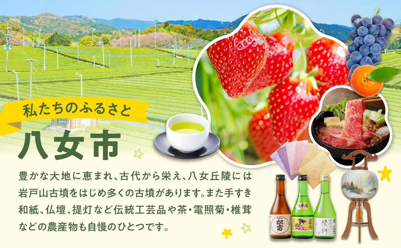 奥八女の茶葉を使った 三種の八女茶新茶セット 合計300g【2026年5月以降発送】 深蒸し茶 煎茶 白折 茎茶 日本茶 お茶 緑茶 新茶 福岡県 八女市 072-093