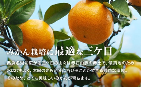 三ヶ日みかんジュース「浜名湖まるごと純粋搾り」720ml 2本【静岡 三ヶ日 みかん ジュース】 果汁飲料 野菜飲料 フレッシュ 