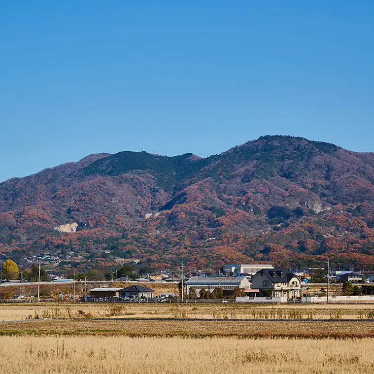 令和7年産 筑波山麓・羽鳥の沢水米 コシヒカリ 5kg 米 お米 コメ 精米 白米 桜川市 茨城県 [BN002sa]