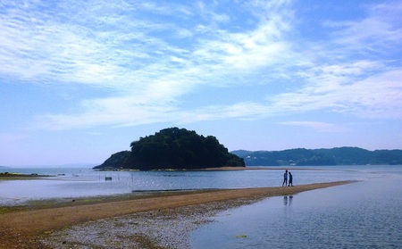 宿泊券 チケット 岡山県瀬戸内市　日本旅行　地域限定旅行クーポン90,000円分