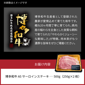 博多和牛A5サーロインステーキ【厳選部位】500g（250g×2枚）_KMP0203