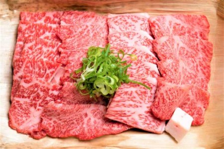 博多和牛A5焼き肉用【厳選部位】500g _KMP0303