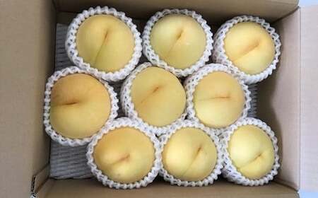 《2026年産先行受付》山形県産 黄桃 3kg ※品種玉数おまかせ もも モモ 桃 デザート フルーツ 果物 くだもの 果実 食品 山形県 FSY-2520