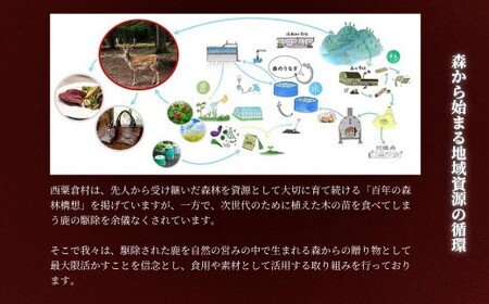 森のジビエ  鹿肉 ブロック おまかせ詰合せ700g以上 A-JJ-A15A