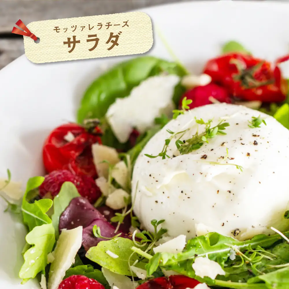 【定期便】森永乳業 モッツァレラチーズ 計900g(100g×9P)×2ヵ月【全2回】チーズ 北海道 別海町