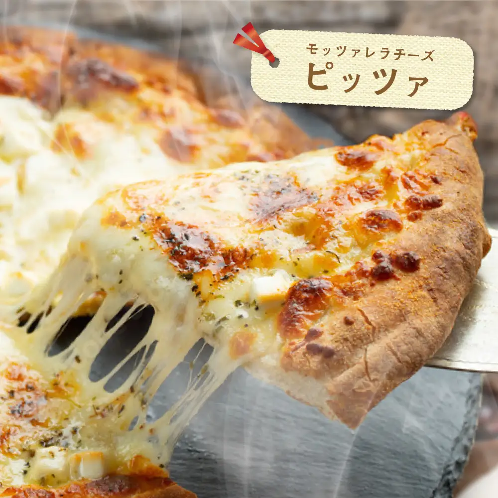【定期便】森永乳業 モッツァレラチーズ 計600g(100g×6P)×4ヵ月【全4回】チーズ 北海道 別海町
