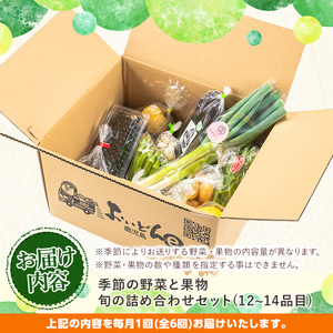 《定期便・全6回》野菜と果物旬の詰め合わせ(12～14品目) 国産 九州産 鹿児島県産 野菜 やさい 果物 くだもの フルーツ デザート 詰め合わせ お楽しみ セット 旬【鹿児島県経済農業協同組合連合会】_y359