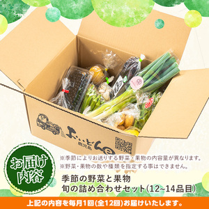 《定期便・全12回》野菜と果物旬の詰め合わせ(12～14品目) 国産 九州産 鹿児島県産 野菜 やさい果物 くだもの フルーツ デザート 詰め合わせ お楽しみ セット 旬【鹿児島県経済農業協同組合連合会】_y360