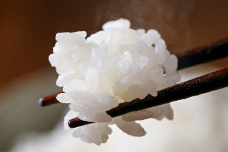 【期間限定発送】 米 定期便 コシヒカリ 白米 10kg 6回 総計 60kg [農家にしの 石川県 宝達志水町 38601174]