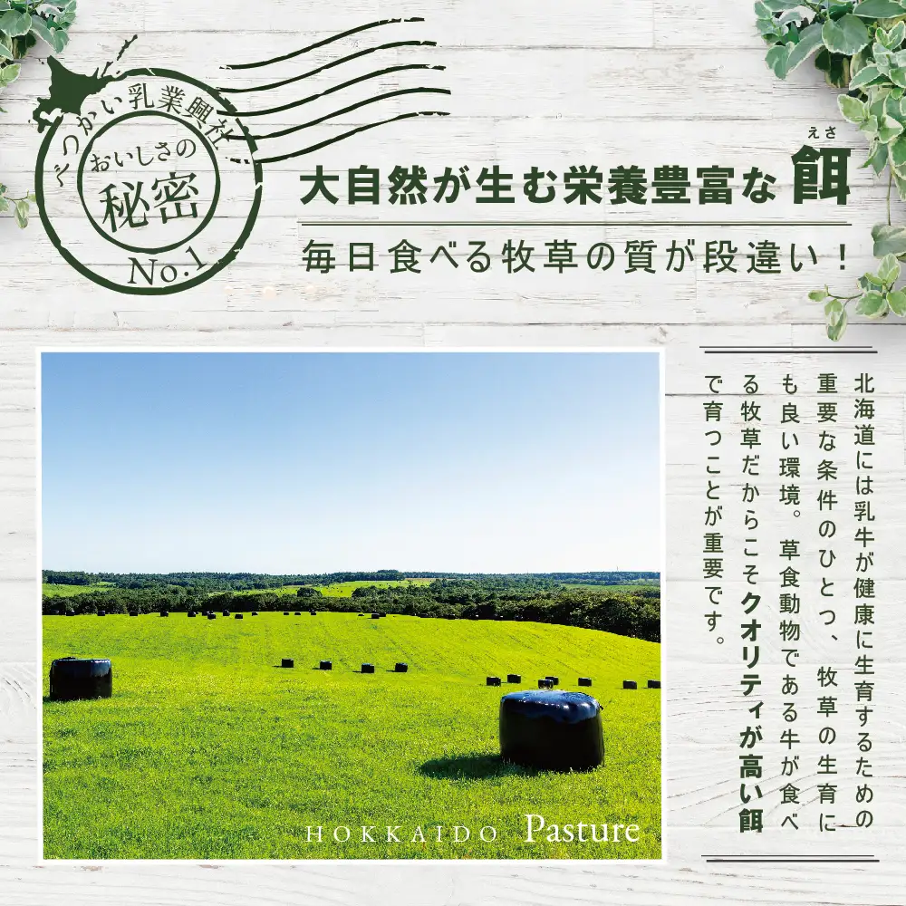 ひと味 違う 別海町 の 牛乳 ♪ たっぷり 6リットル ＜緊急支援品＞北海道産 べつかいの 牛乳屋さん 牛乳 1L × 6本入（M-21） ふるさと納税 緊急支援（ 牛乳 北海道産牛乳 道産牛乳 北海道 別海町 人気 ふるさと納税 ）