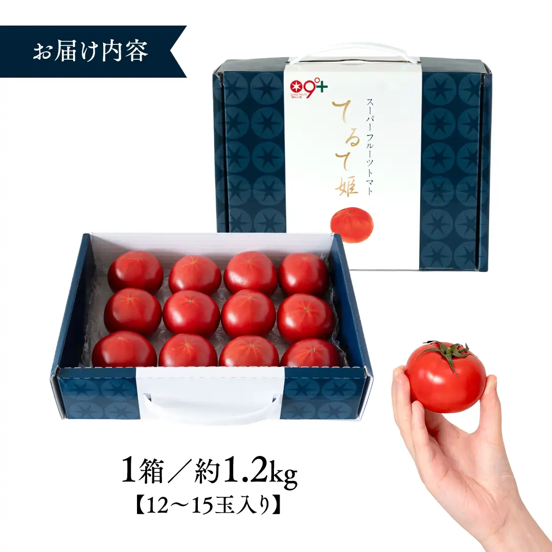 【ふるなびWEEK対象】糖度9度以上 スーパーフルーツトマト てるて姫 中箱 約1.2kg × 1箱 【12～15玉/1箱】  [BC033sa]