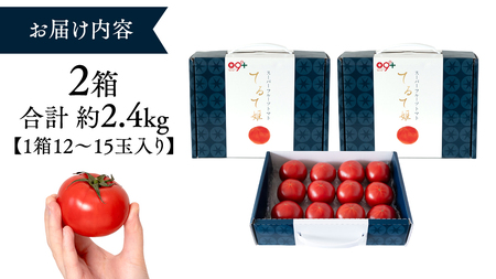 《 テレビで紹介 》【 2026年収穫分 先行予約 】 糖度9度以上 スーパーフルーツトマト てるて姫 中箱 約1.2kg × 2箱 【12?15玉/1箱】   [BC034sa]