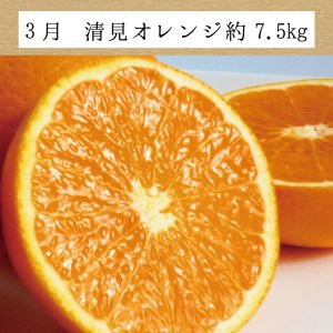 定期便【3か月】たっぷり届く♪ 訳ありみかんの定期便【tkb113】