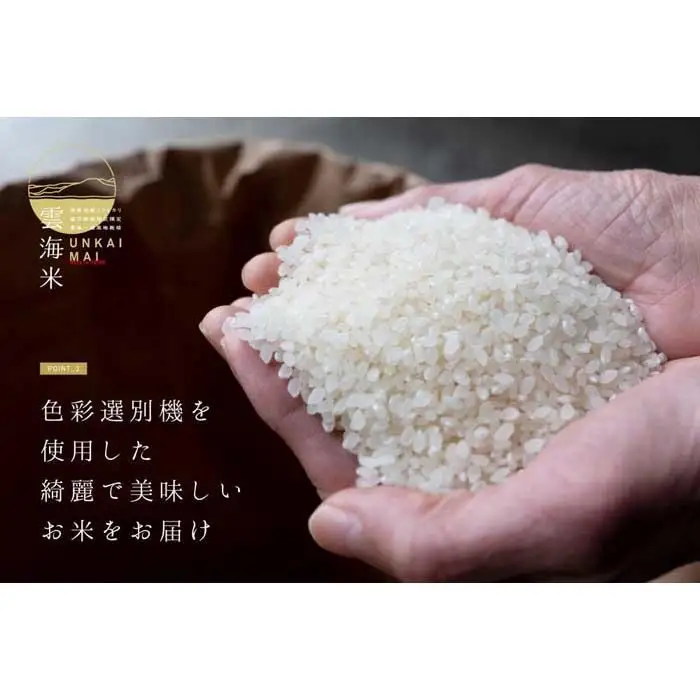 新米予約【令和8年産】【定期便】「雲海米」南魚沼塩沢産コシヒカリ　玄米5kg x 全12回【定期便 銘柄米 ブランド米 玄米 こしひかり コシヒカリ 魚沼産 新潟米 お米 米】【2026年10月上旬から1ヶ月以内に順次発送予定】