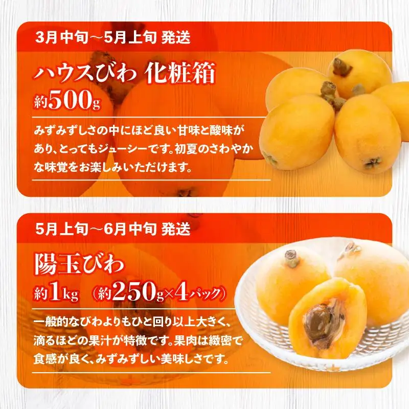 季節のフルーツ  厳選 高松市 12回 [旬な季節に合計12回発送]定期便N