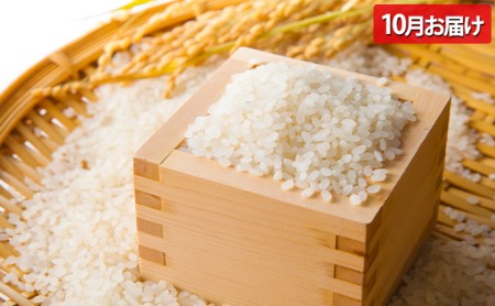 【令和8年産】先行予約 北海道 上富良野 農家スクラム スペシャル 定期便 4回発送 メロン とうもろこし トウモロコシ じゃがいも ジャガイモ かぼちゃ カボチャ お米 ゆめぴりか 果物 フルーツ 野菜 新米 
