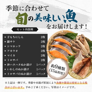 《定期便》9ヶ月連続 干物セット 15品程度(9種類程度)「秋田のうまいものセットC」 魚貝類 加工食品 漬魚 