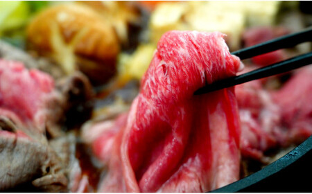感謝を込めて 佐賀牛うで薄切り 700g（350g×2P） N18-6
