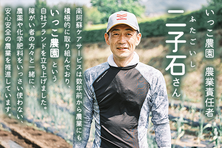 阿蘇ブロンドエール 330ml×6本セット 熊本県南阿蘇村《90日以内に出荷予定(土日祝除く)》株式会社南阿蘇ケアサービス ビール