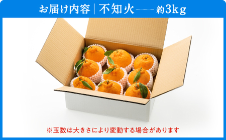 AA132.農家直送の不知火／約3kg（2027年2月発送予定)