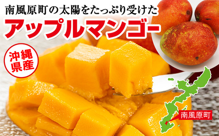 【2026年発送】すみれ農園のアーウィンマンゴー家庭用1.5kg
