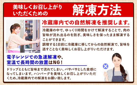 黒毛和牛生ハンバーグ140g×15個 《30日以内に出荷予定(土日祝除く)》 簡単 調理 惣菜 冷凍 牛 湯煎 人気 子供 こども 小分け ハンバーグ 熊本県 玉東町｜人気ハンバーグ 大人気返礼品 ブランドハンバーグ 玉東町ハンバーグ 特産ハンバーグ