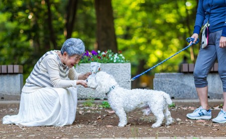オーガニック鹿肉ペットフード（犬用）ドライタイプ　1kg×10袋 エサ 