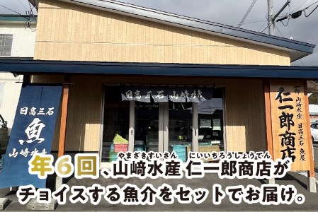 ＜定期便6回＞北海道産 旬の魚介 4~5種 お楽しみ定期便