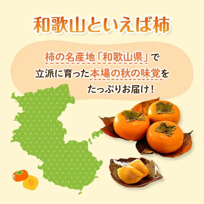 ◆先行予約◆［本場和歌山県特産］富有柿の最高級ブランド「（袋掛け）樹上完熟富有柿」＜贈答用／赤秀＞11～13玉入り［2026年11月下旬以降発送］［MG5］柿 富有柿 贈答 先行予約 高級品