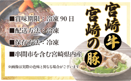 【定期便・全6回】宮崎牛と宮崎産豚肉 6ヶ月定期便！計3.7kg_K030-T001