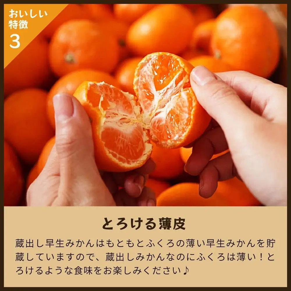 蔵出しみかん早生　5kg家庭用｜和歌山県海南市下津町の特産品蔵出しみかんの早生品種【2027年1月発送開始】