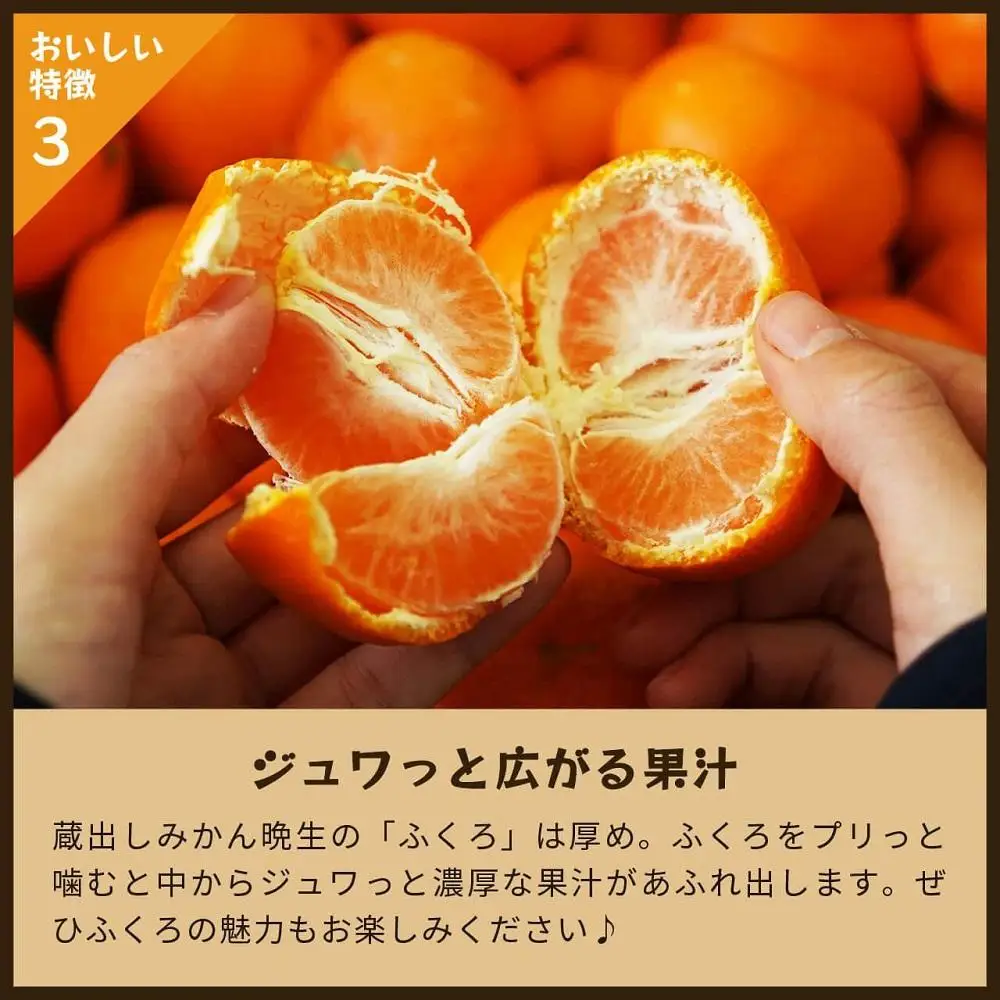 蔵出しみかん晩生　5kg家庭用｜和歌山県海南市下津町の特産品蔵出しみかんの晩生品種【2027年1月発送開始】