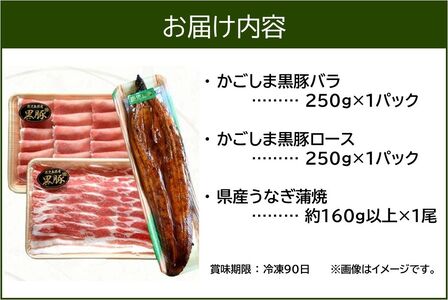 かごしま黒豚しゃぶしゃぶ用2パック・鹿児島県産ウナギ1尾のプチ贅沢セット【配送不可地域：離島】【1185970】