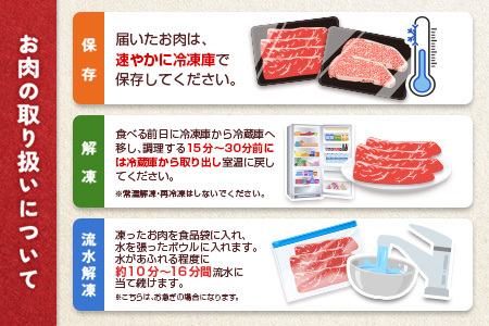 宮崎牛 ウデスライス 500g 肉質等級4等級 国産 人気 おすすめ【B531-2510-90】