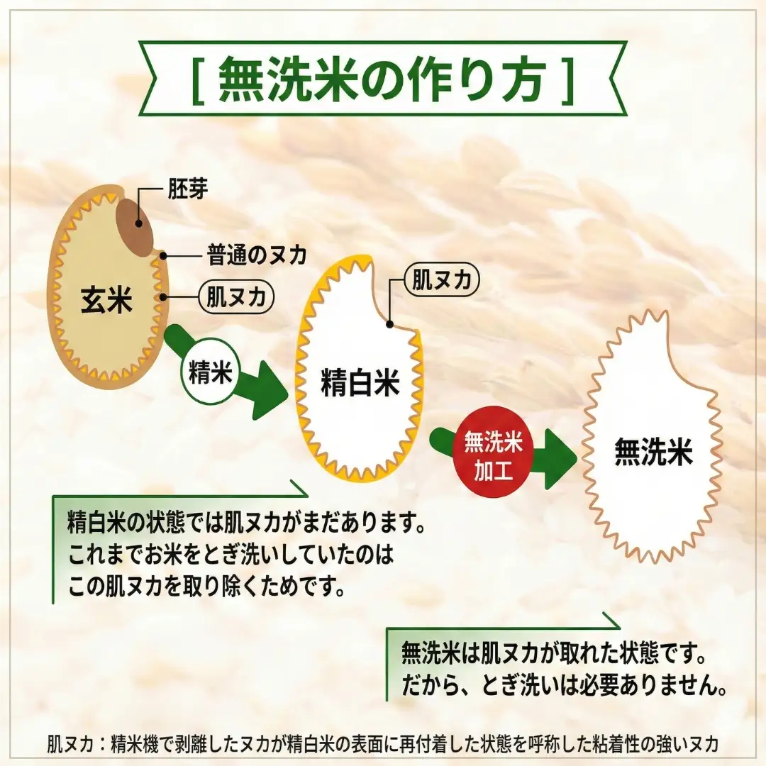 魚沼産コシヒカリ 無洗米 30kg 新潟県 |おこめ 5キロ×6回 隔月 定期便 特A評価 無洗
