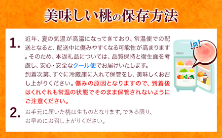 桃 あら川の桃 化粧箱入 約2kg