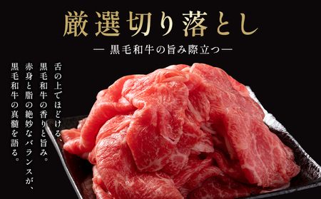 厳選 くまもと黒毛和牛 切り落とし 2kg ( 1パック 500g ) 《30日以内に出荷予定(土日祝除く)》和牛焼肉LIEBE くまもと 黒毛和牛 切り落とし