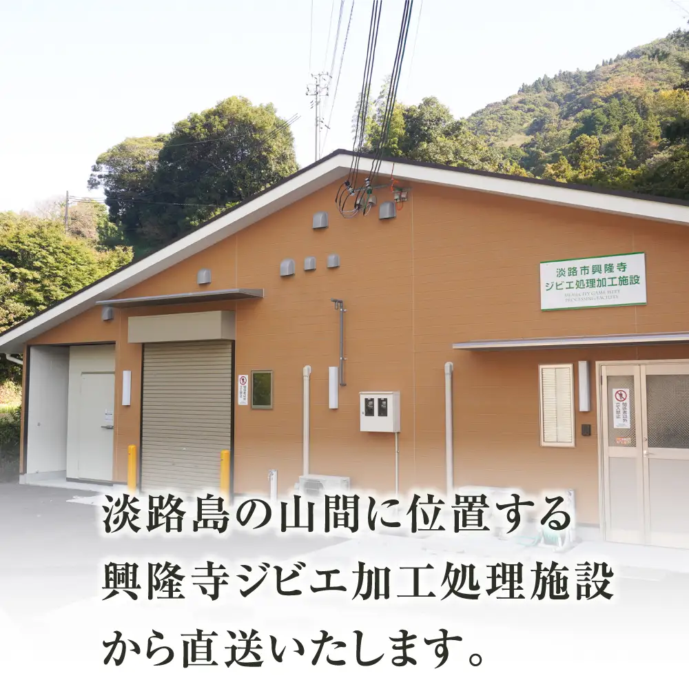 淡路産 猪肉スライス ５００ｇ　ジビエ 猪 ぼたん鍋