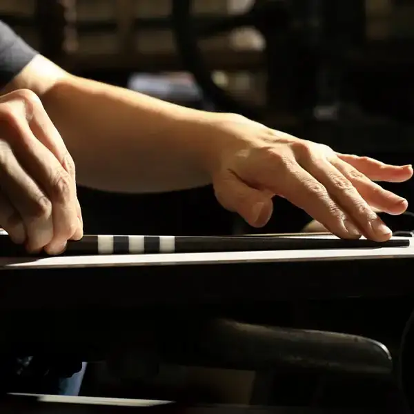 極上 十六角箸 黒檀 235mm 高級 箸 贈答用 無塗 燕三条製  [マルナオ]