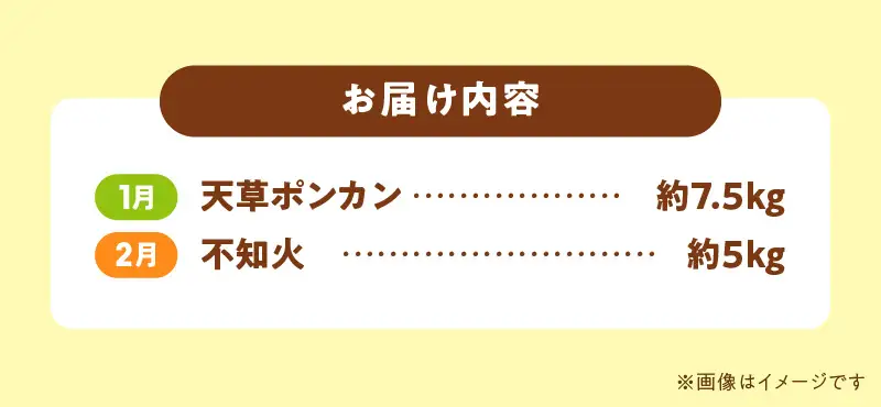 S040-T06A_【定期便2回】天草　下浦特産の柑橘2種Ｂセット（訳あり）