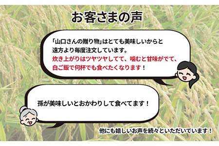 【先行予約】【令和8年産】特別栽培米！コシヒカリ10kg / お米 [IAS002]