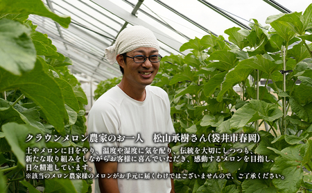 クラウンメロン【上（山等級）】中玉（1.3kg前後）1玉入り 定期便6ヶ月 人気 厳選 ギフト 贈り物 デザート グルメ 果物 袋井市 果物類 メロン青肉 フルーツ 6回 半年
