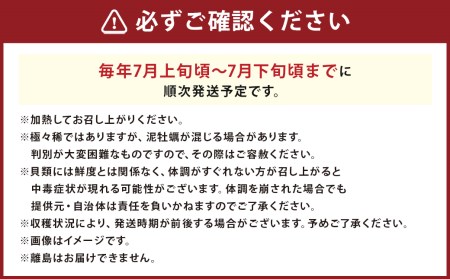 【限定100個】天草岩ガキ「初雫」約1.5kg（10～15個）加熱用 冷蔵