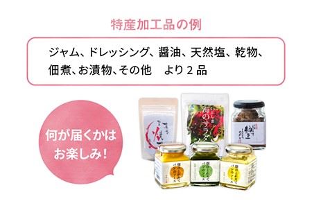 【 全9回 定期便 】 朝採り オーガニック 旬 野菜 お任せ 5品 ＋ 糸島産 大ヒット 特産 加工品 2品 のセット《糸島》【オーガニックナガミツファーム】 	[AGE031]