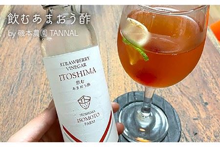 糸島 フルーツ ギフト 《 糸島 》【磯本農園 TANNAL・110west.inc・】【いとしまごころ】[ASD023]
