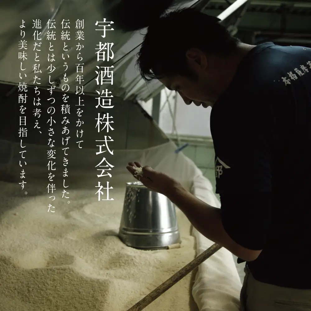 【ふるさと納税限定】本格芋焼酎 厳選銘柄　飲み比べセット（4銘柄 各1本） いも焼酎 芋焼酎 飲み比べ お酒 鹿児島 ハイボール ロック 水割り お湯割り 贈答 ギフト セット 南さつま市