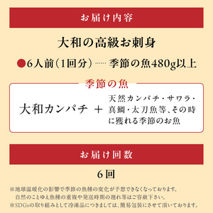 【6ヶ月定期便】大和の高級お刺身　6人前【冷凍】 N072-YF106-2