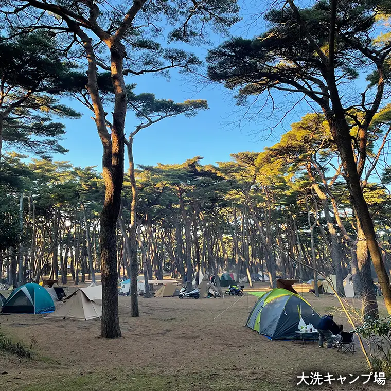 大洗 キャンプ場 クーポン券 6000円分（1000円×6枚） 大洗サンビーチキャンプ場 大洗キャンプ場 チケット 利用券 アウトドア 旅行_CC002